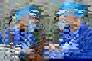 Helsepersonell som intuberer en pasient. Foto: Unsplash.